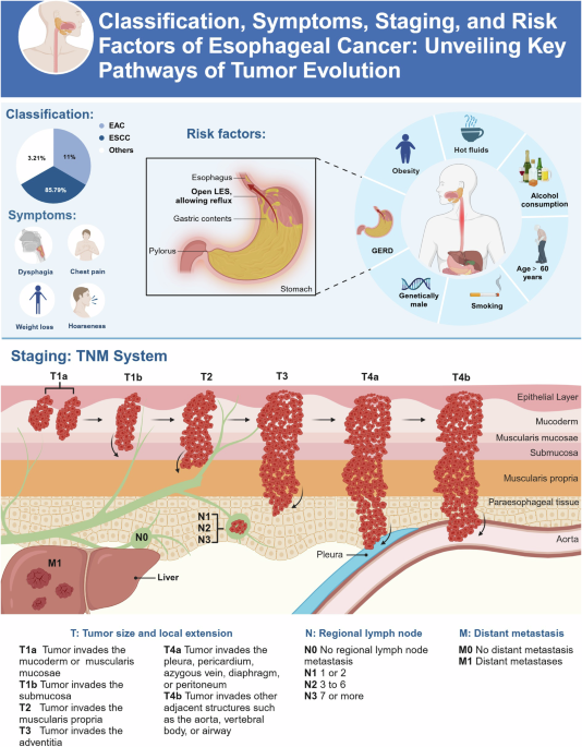 Exploring metabolic reprogramming in esophageal cancer: the role of key enzymes in glucose, amino acid, and nucleotide pathways and targeted therapies