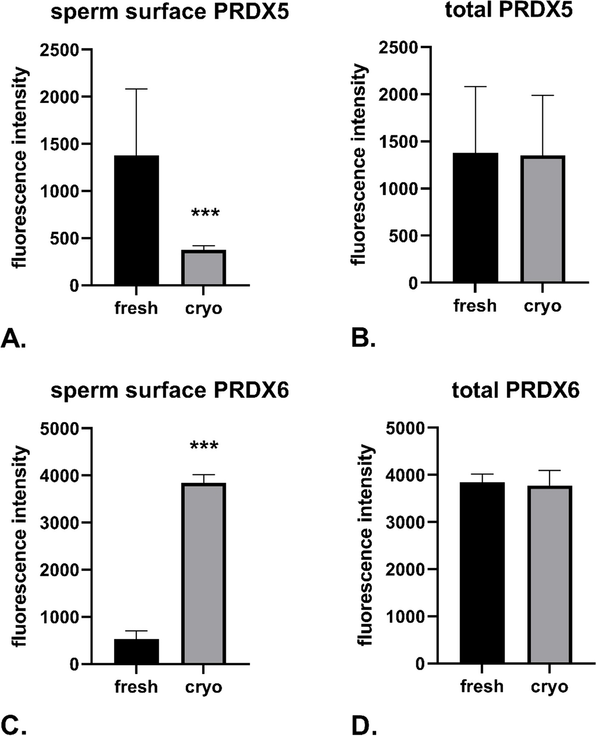 PRDX5 and PRDX6 translocation and oligomerization in bull sperm: a response to cryopreservation-induced oxidative stress