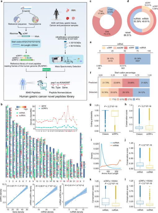 Comprehensive discovery and functional characterization of the noncanonical proteome