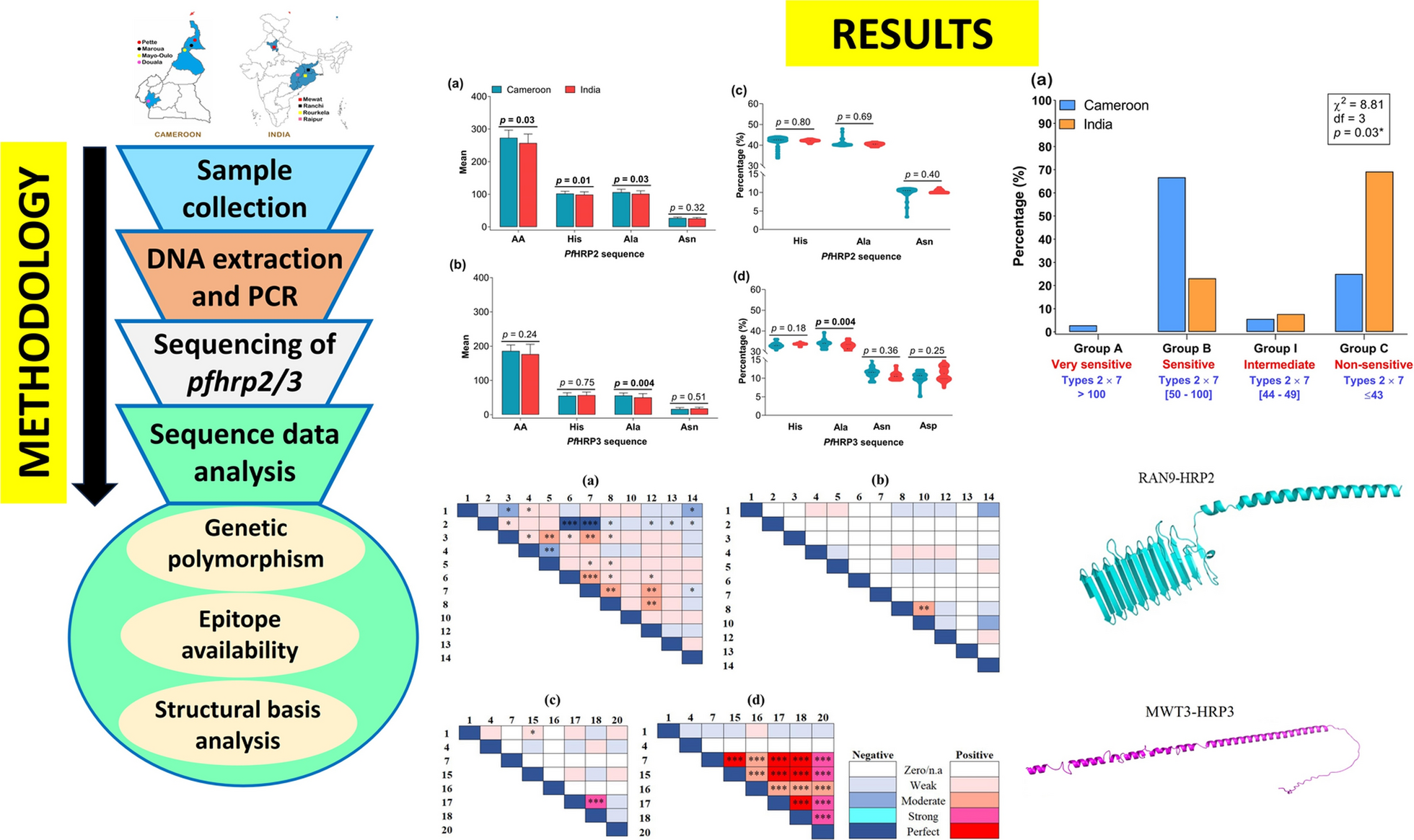 Contrasting sequence polymorphism and structural basis patterns of Plasmodium falciparum histidine-rich proteins 2/3 in Cameroon and India