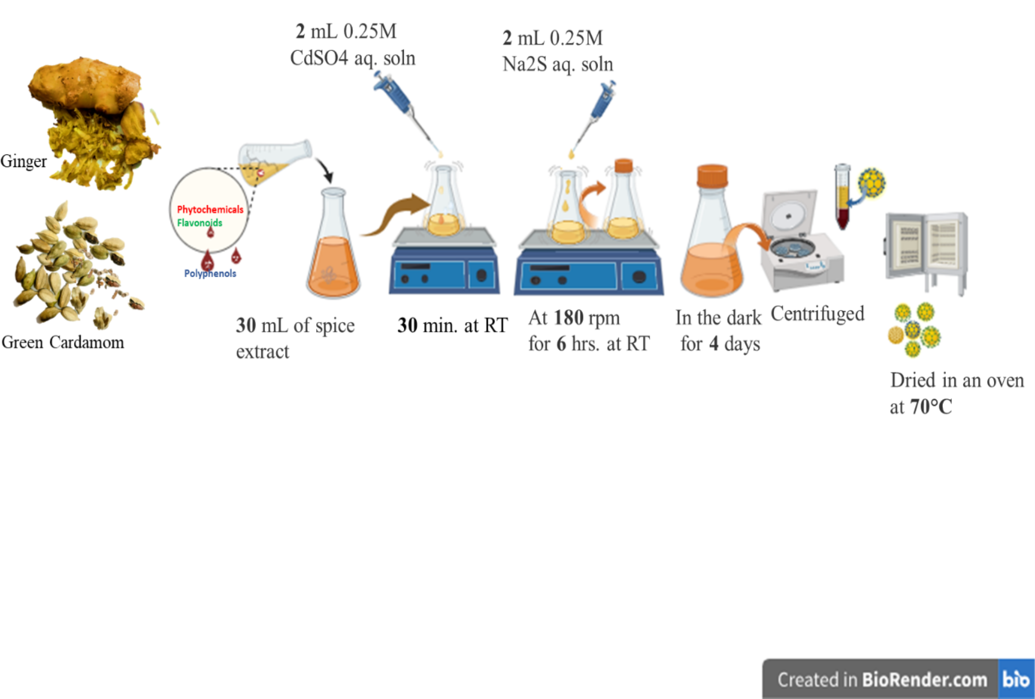 Green Fabrication of CdS Quantum Dots Using Household Indian Spices for Its Potential Anticancer Activity Against Human Breast Cancer Cells (MCF-7) and Other Biological Applications