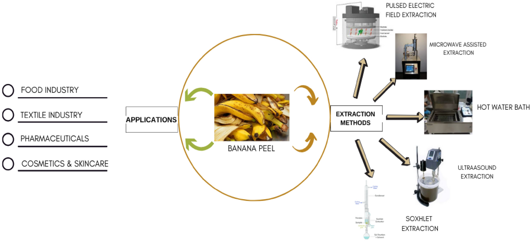 Unlocking the potential of banana peel bioactives: extraction methods, benefits, and industrial applications