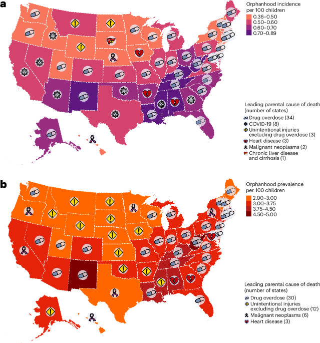 Visualizing the effects and causes of caregiver deaths on children in the USA