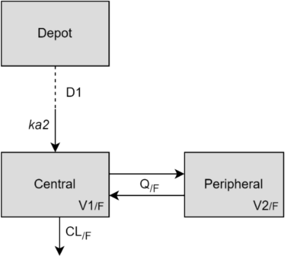 Improving Understanding of Fexofenadine Pharmacokinetics to Assess Pgp Phenotypic Activity in Older Adult Patients Using Population Pharmacokinetic Modeling