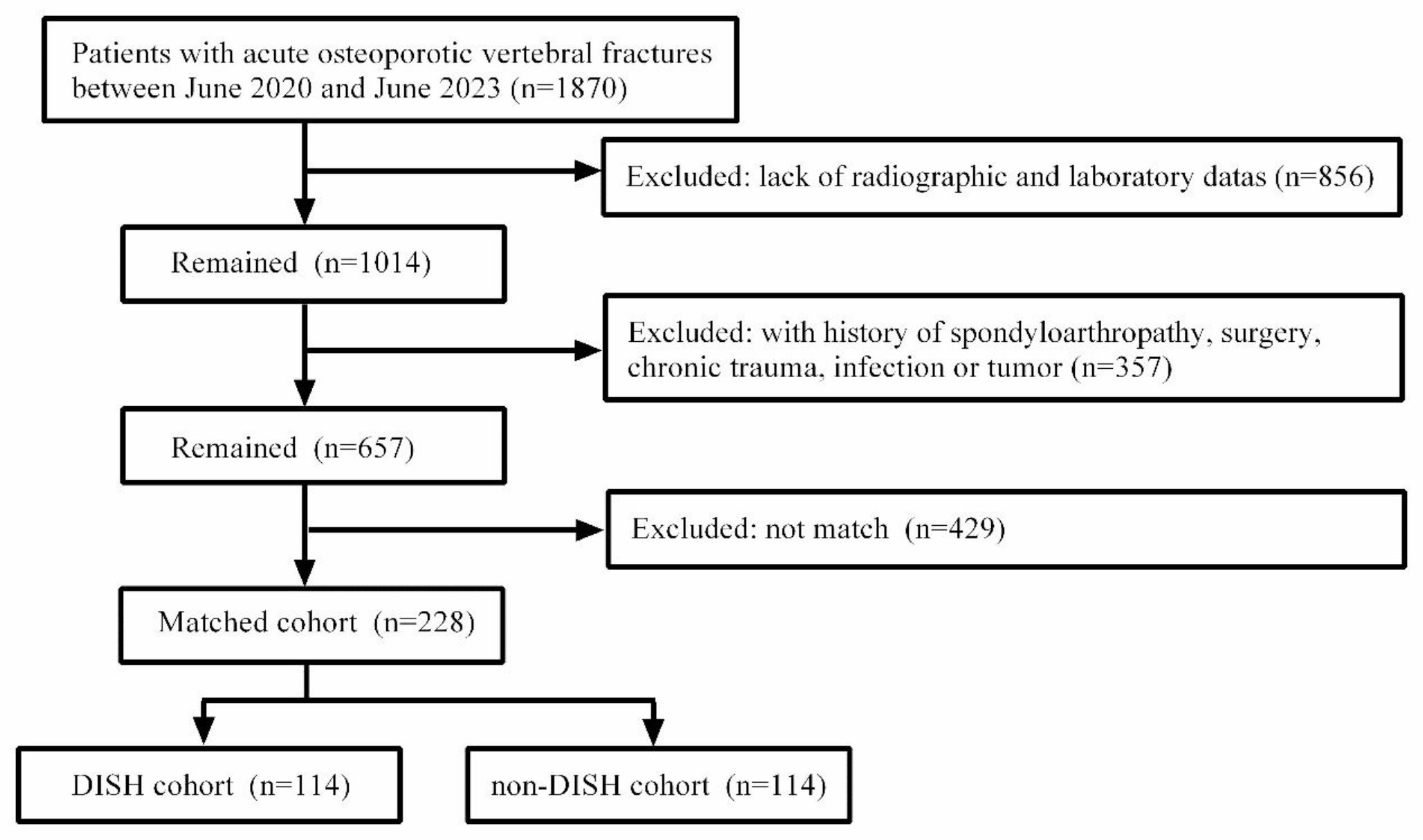 Relationship between diffuse idiopathic skeletal hyperostosis and lumbar paravertebral muscle fat infiltration: a CT-based retrospective study