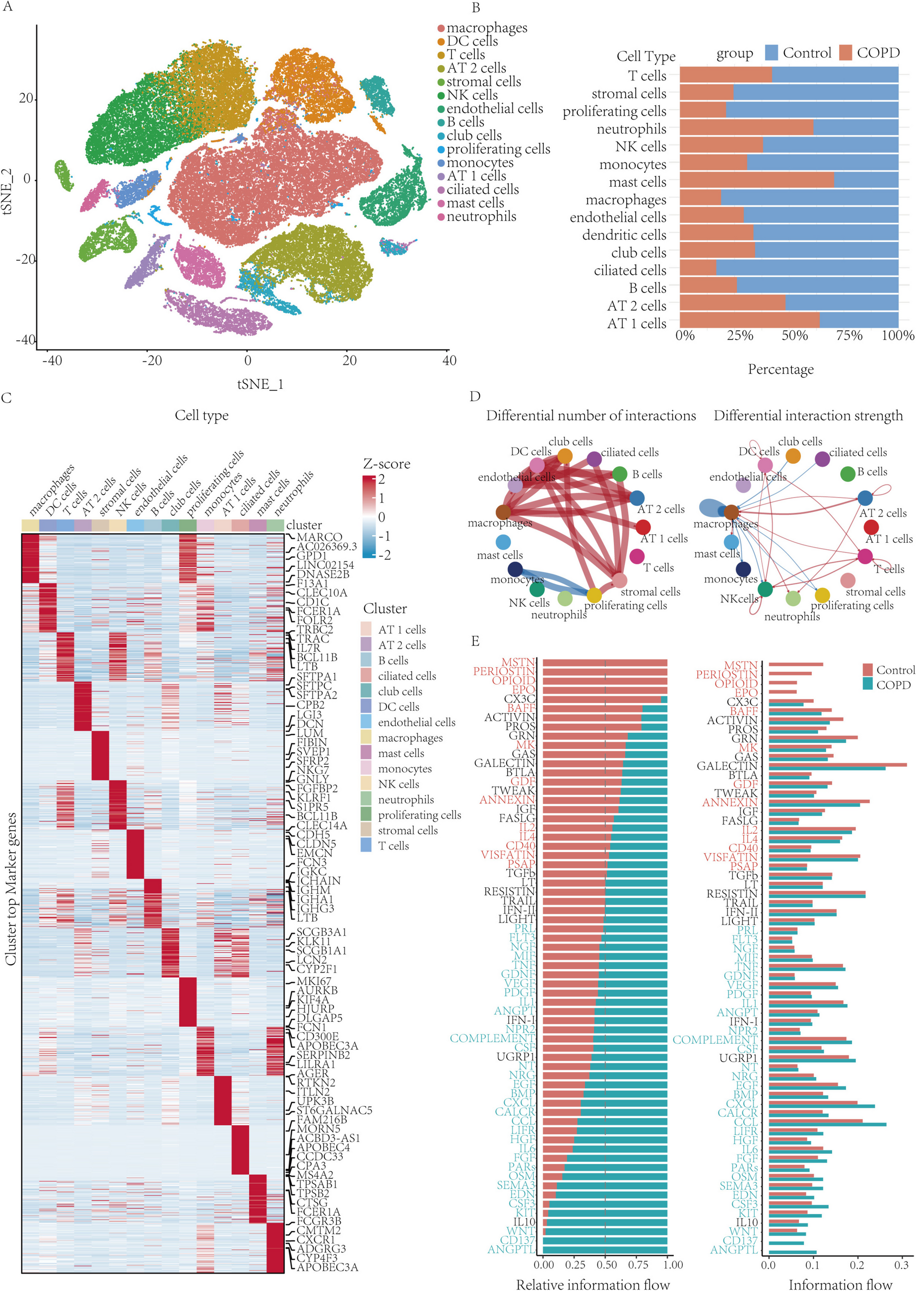 Identification and Construction of a R-loop Mediated Diagnostic Model and Associated Immune Microenvironment of COPD through Machine Learning and Single-Cell Transcriptomics