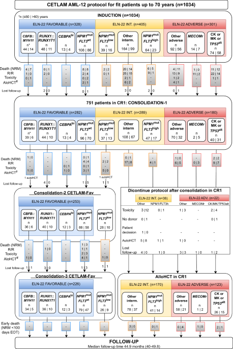 Diverse real-life outcomes after intensive risk-adapted therapy for 1034 AML patients from the CETLAM Group