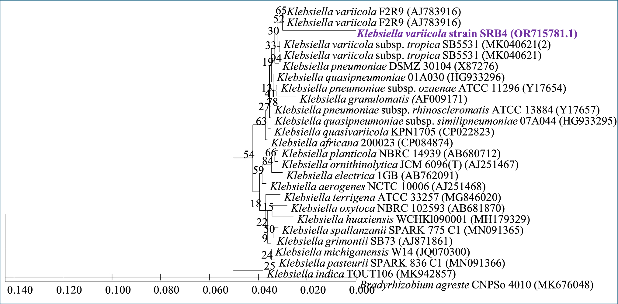 Cu-tolerant Klebsiella variicola SRB-4 increased the nanoparticle (NP) stress resilience in garden peas (Pisum sativum L.) raised in soil polluted with varying doses of copper oxide (CuO)-NP