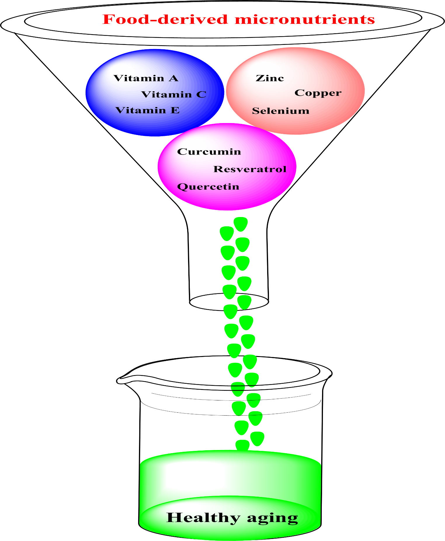 Food-Derived Micronutrients as Alleviators of Age-Related Dysfunction: A Dive into Their Effects and Cellular Mechanisms