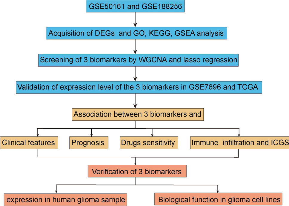 Identification of critical biomarkers and immune landscape patterns in glioma based on multi-database