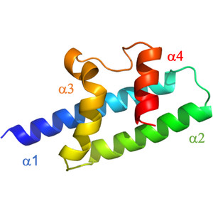 Structural characterization of the ACDC domain from ApiAP2 proteins, a potential molecular target against apicomplexan parasites