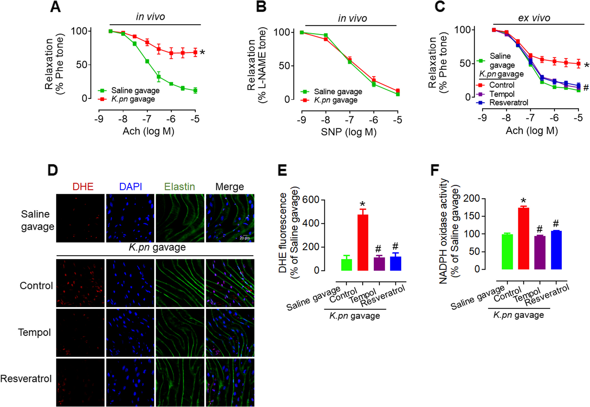 Klebsiella pneumoniae-derived extracellular vesicles impair endothelial function by inhibiting SIRT1