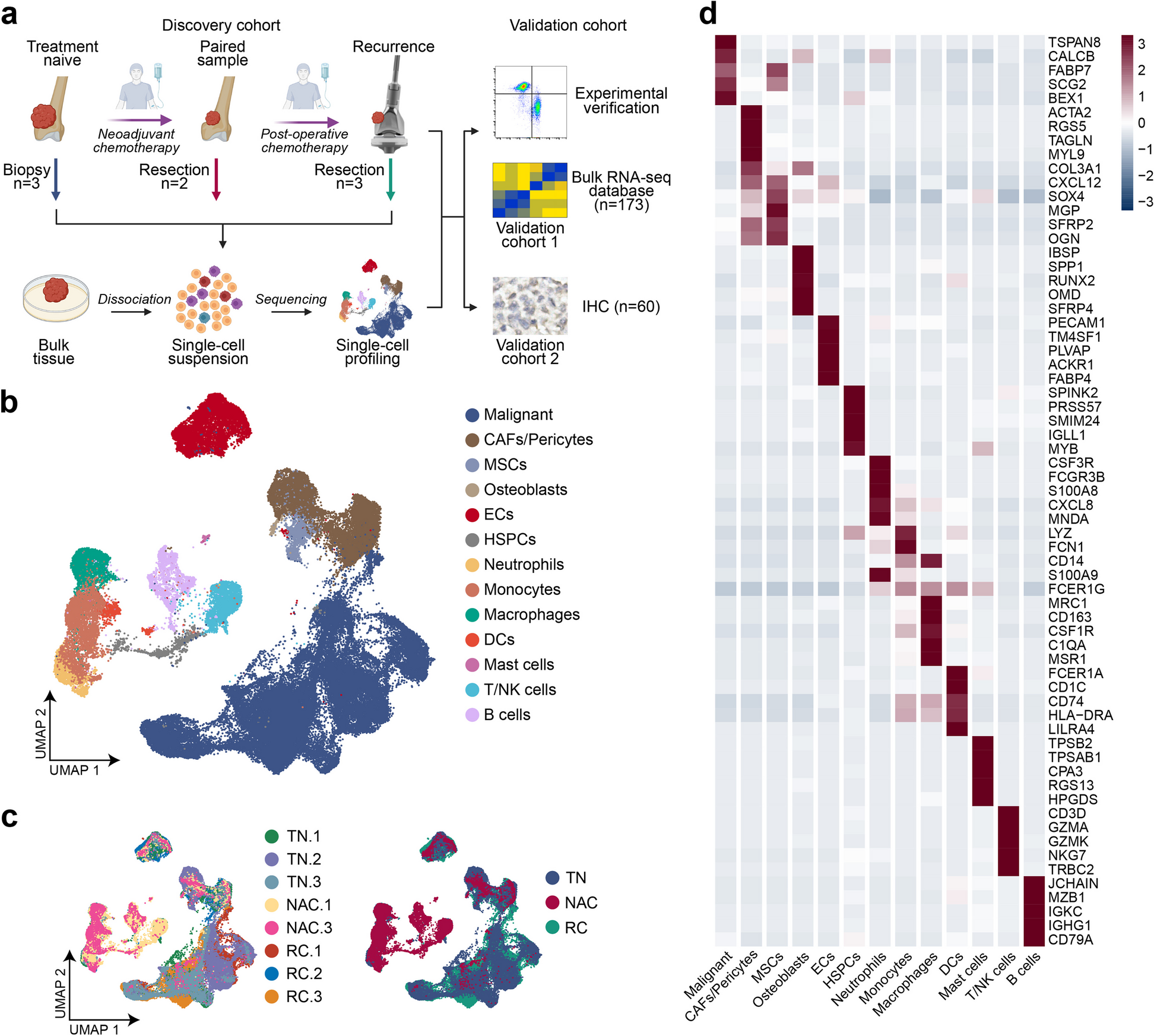 Integrative analysis of Ewing’s sarcoma reveals that the MIF-CD74 axis is a target for immunotherapy