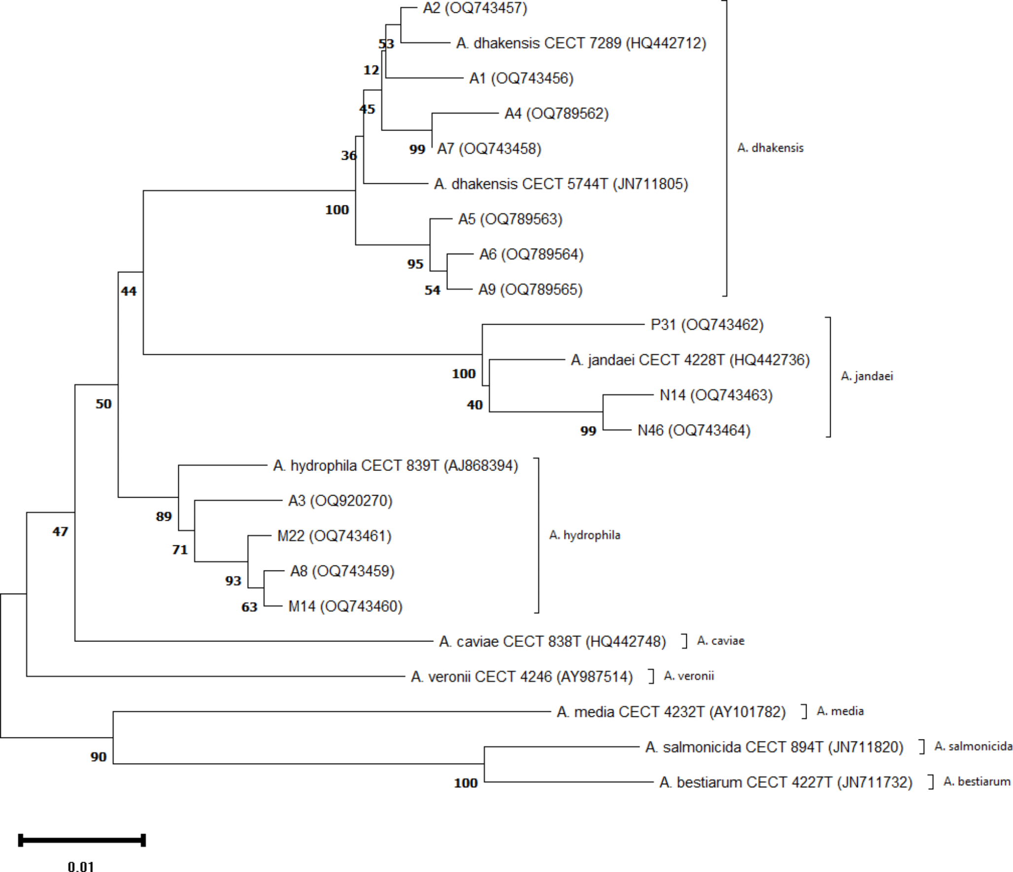 Virulent and multidrug-resistant Aeromonas in aquatic environments of Kerala, India: potential risks to fish and humans