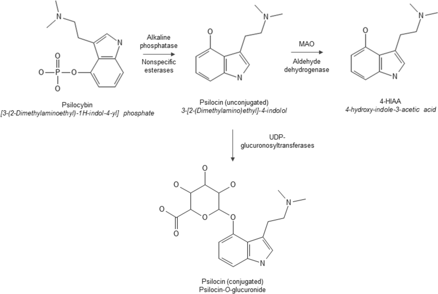 Clinical Pharmacokinetics of Psilocin After Psilocybin Administration: A Systematic Review and Post-Hoc Analysis