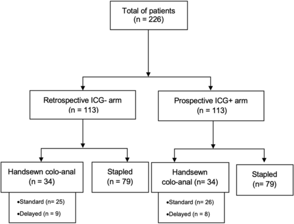 Fluorescence angiography with indocyanine green for low anterior resection in patients with rectal cancer: a prospective before and after study