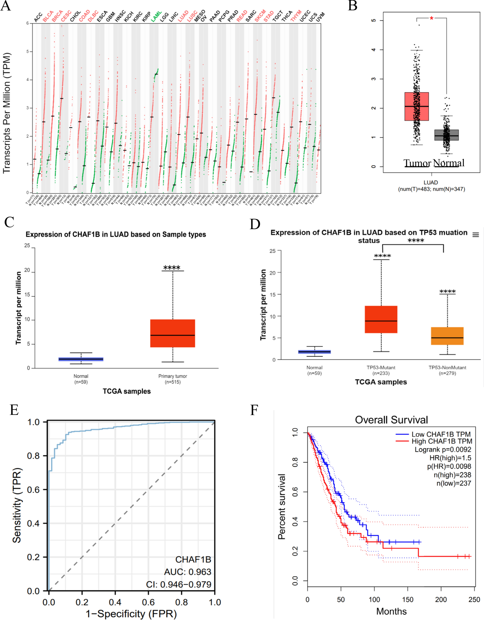 Integrated bioinformatics and experimental analysis of CHAF1B as a novel biomarker and immunotherapy target in LUAD