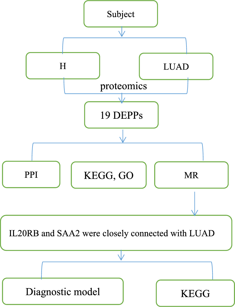 Investigating causal relationships between plasma proteins and lung adenocarcinoma: result from proteomics and Mendelian randomization study