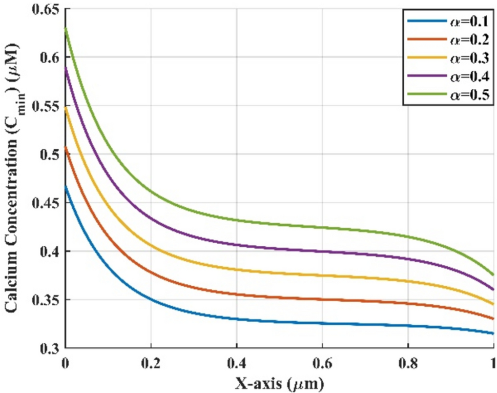 A fuzzy based computational model to analyze the influence of mitochondria, buffer, and ER fluxes on cytosolic calcium distribution in neuron cells