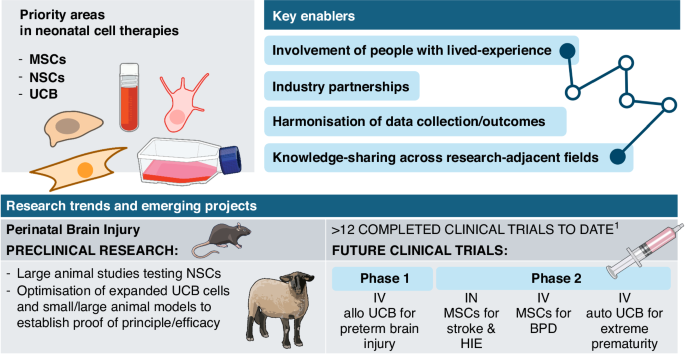 Updates on neonatal cell and novel therapeutics: Proceedings of the Second Neonatal Cell Therapies Symposium (2024)