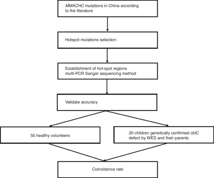 Accelerating the diagnosis of Chinese cblC type MMA patients by multiplex PCR sequencing method