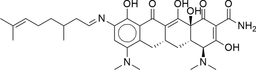 Novel tetracycline hybrids: synthesis, characterization, docking studies and in-vitro evaluation of antibacterial activity