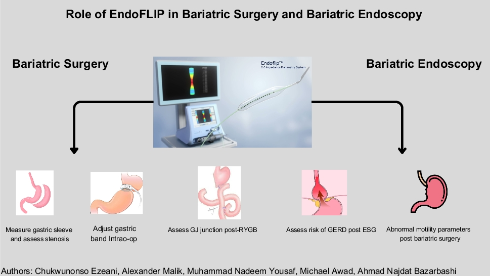 Role of Endoluminal Functional Lumen Imaging Probe in Bariatric Surgery and Bariatric Endoscopy