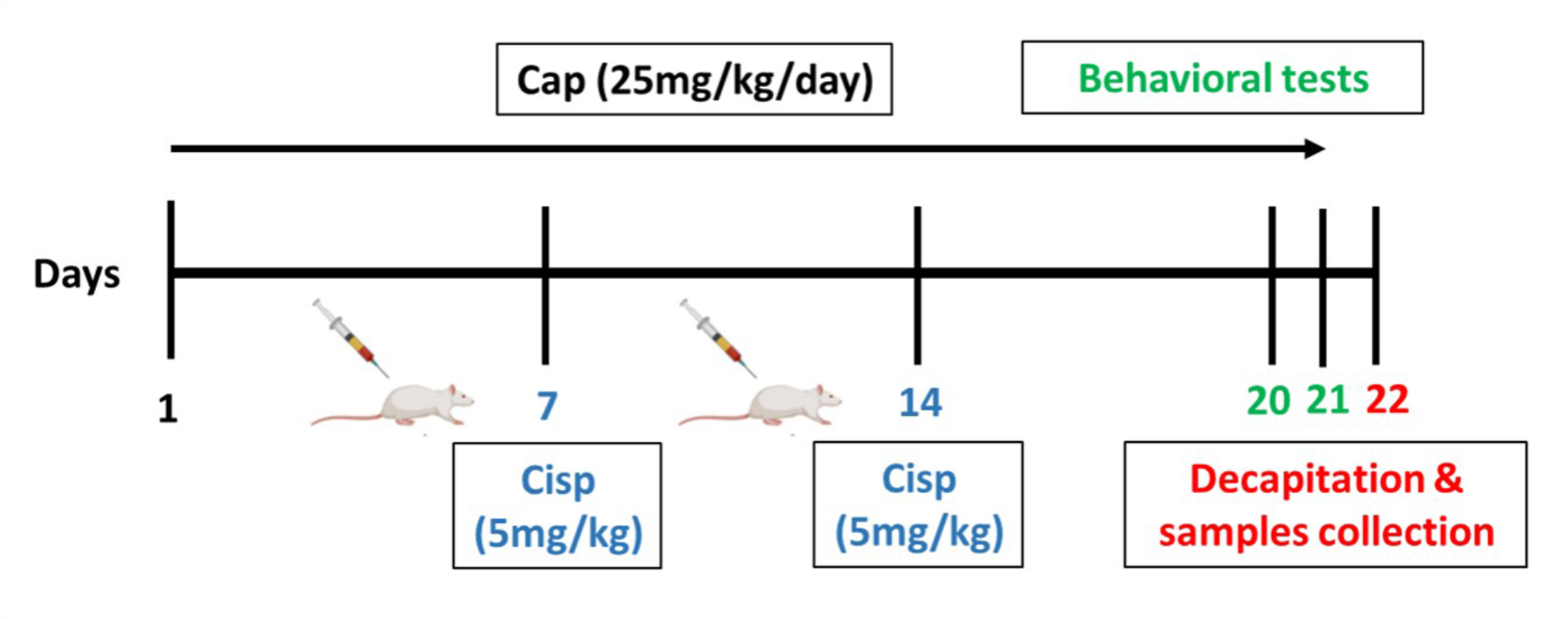 Captopril attenuates oxidative stress and neuroinflammation implicated in cisplatin-induced cognitive deficits in rats