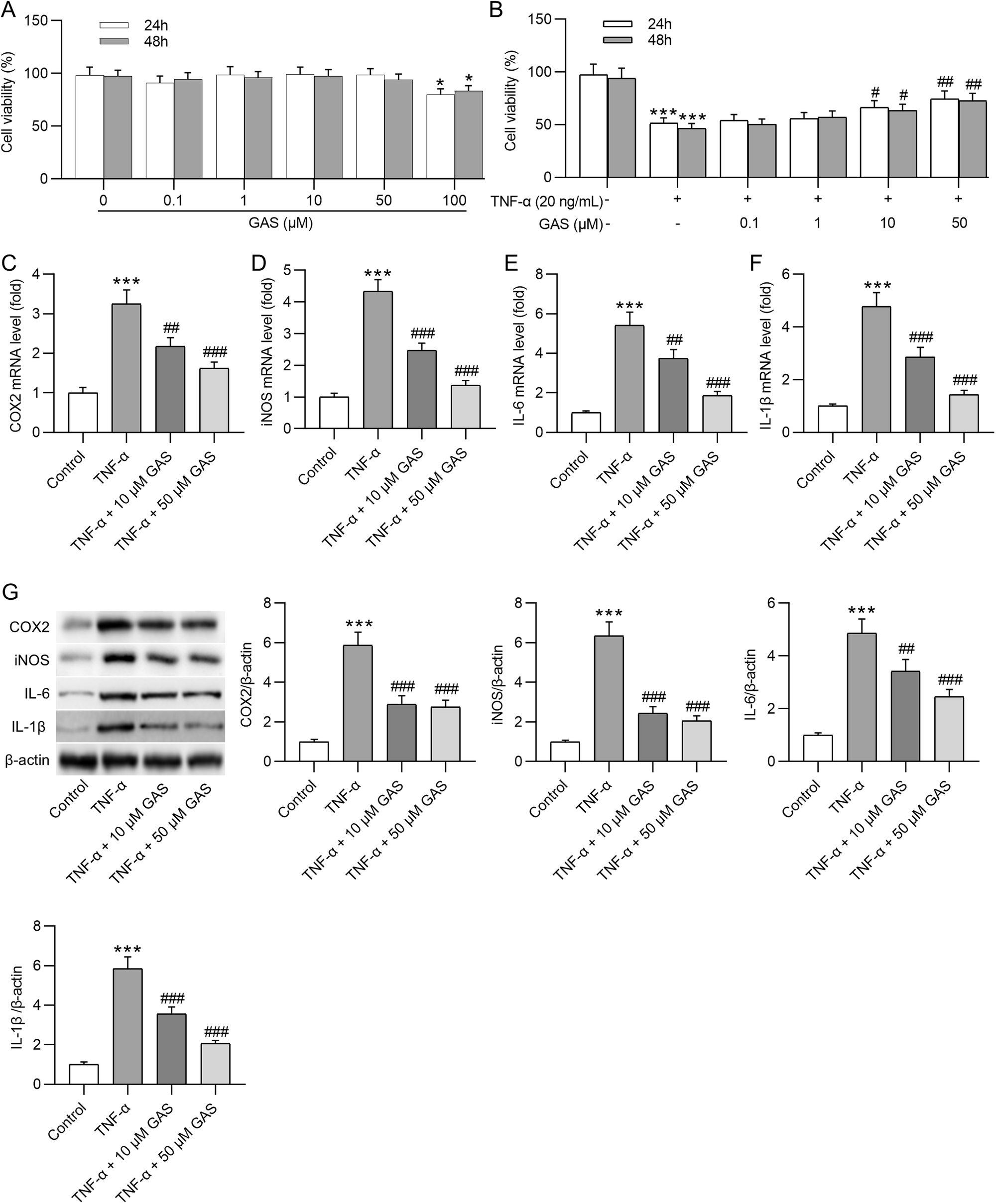 Gastrodin Alleviates Lumbar Intervertebral Disc Degeneration by Suppressing the NF-κB and MAPK Pathways