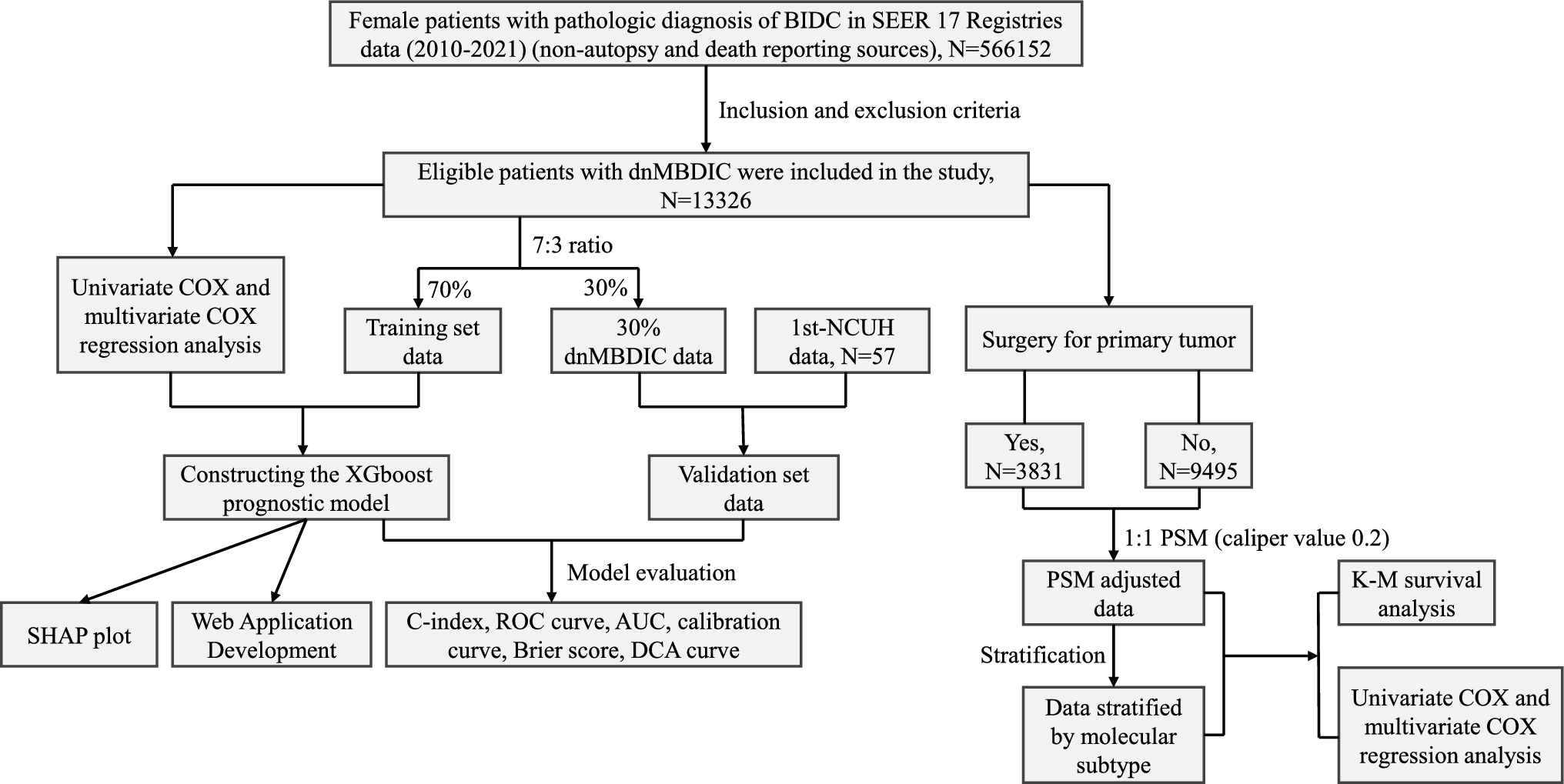 Machine learning-based prognostic modeling and surgical value analysis of de novo metastatic invasive ductal carcinoma of the breast