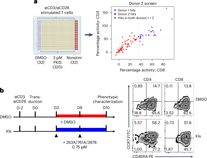 A cocktail of kinase inhibitors that enhance the antitumor effects of CAR-T cell therapy