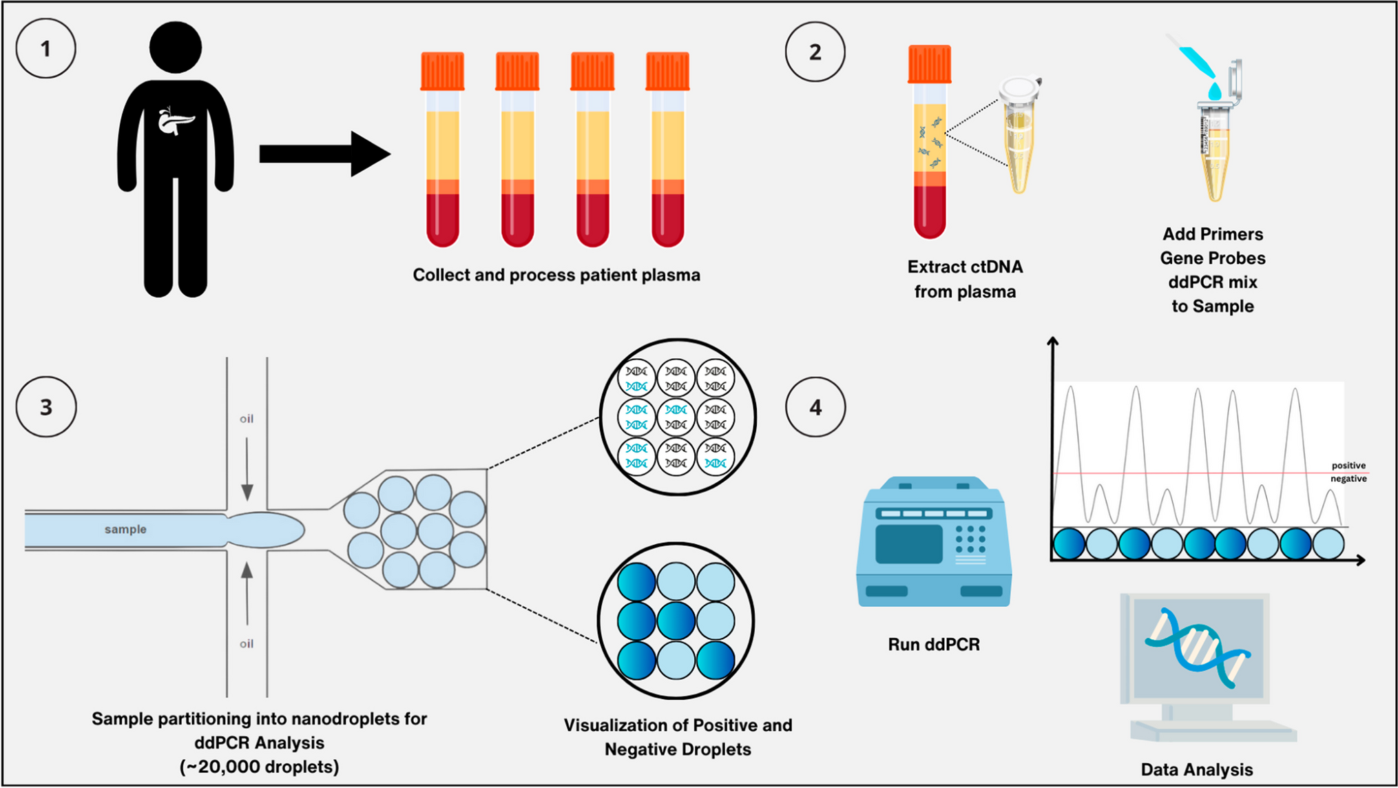 The Current Role of Circulating Tumor DNA in the Management of Pancreatic Cancer