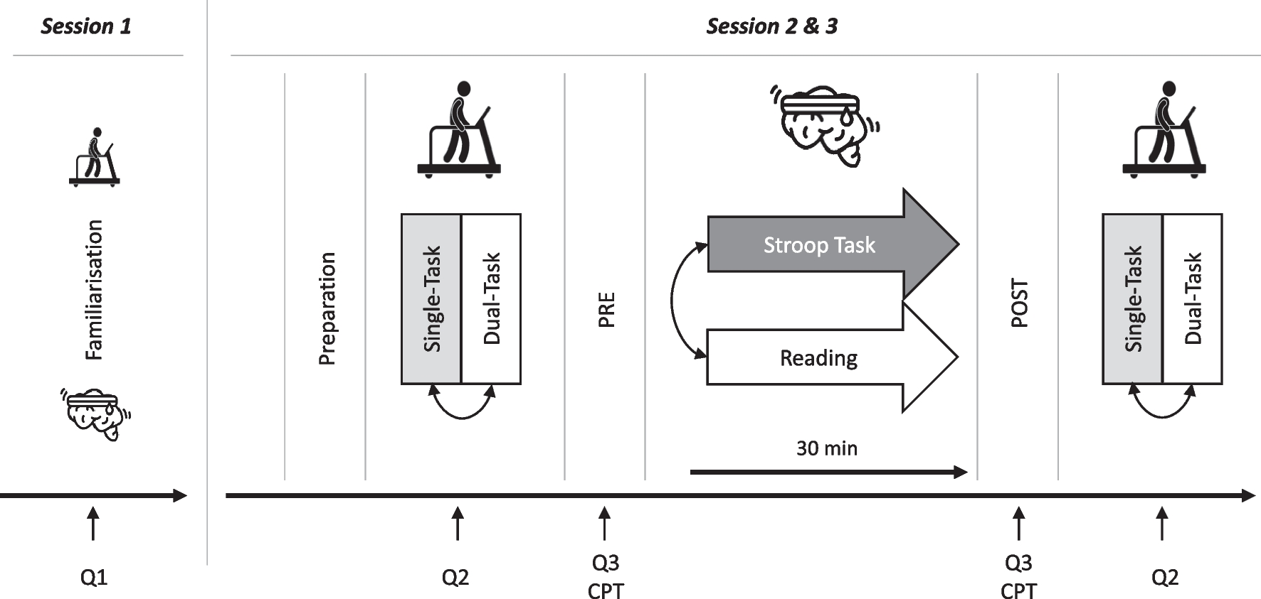 Age-specific effects of a sustained cognitive activity on perceived cognitive fatigue as well as single- and dual-task treadmill walking performance