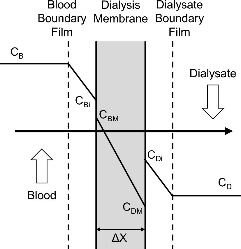 Learning from history to improve the performance of blood purification devices and dialysis membranes: from engineering points of view