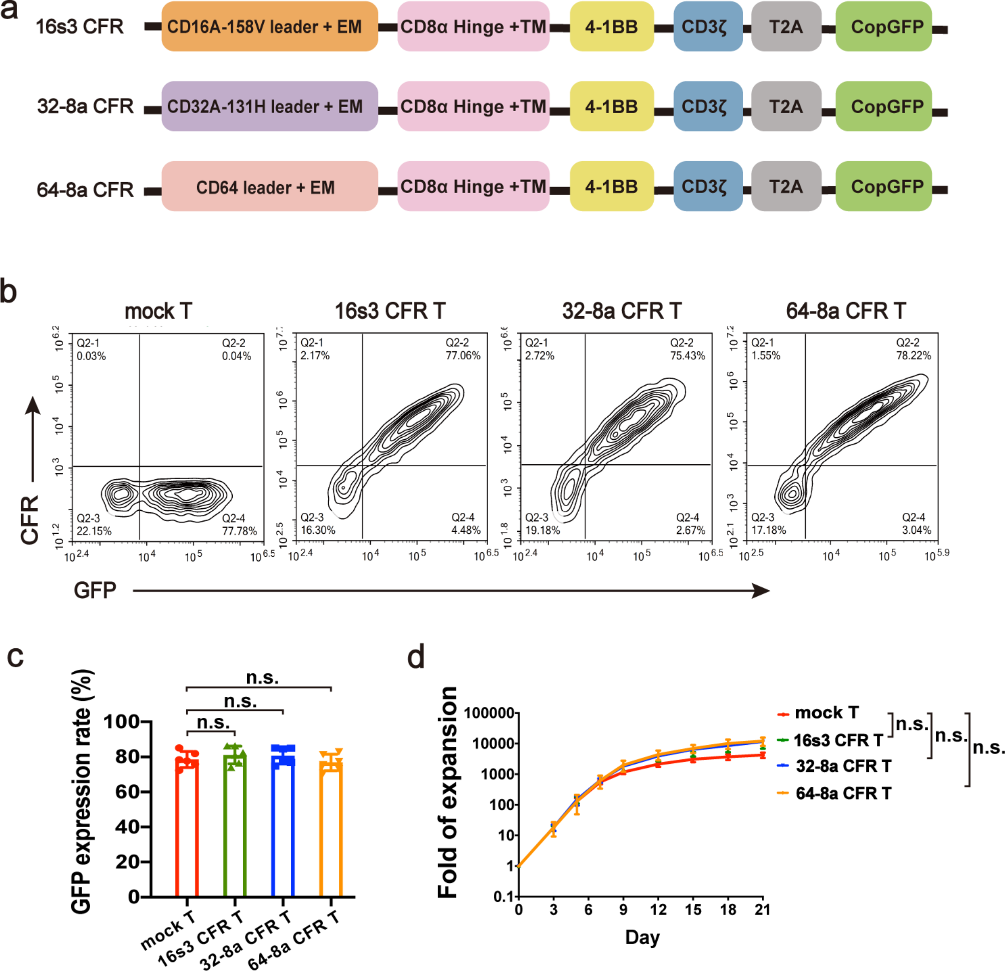 Construction and characterization of chimeric FcγR T cells for universal T cell therapy