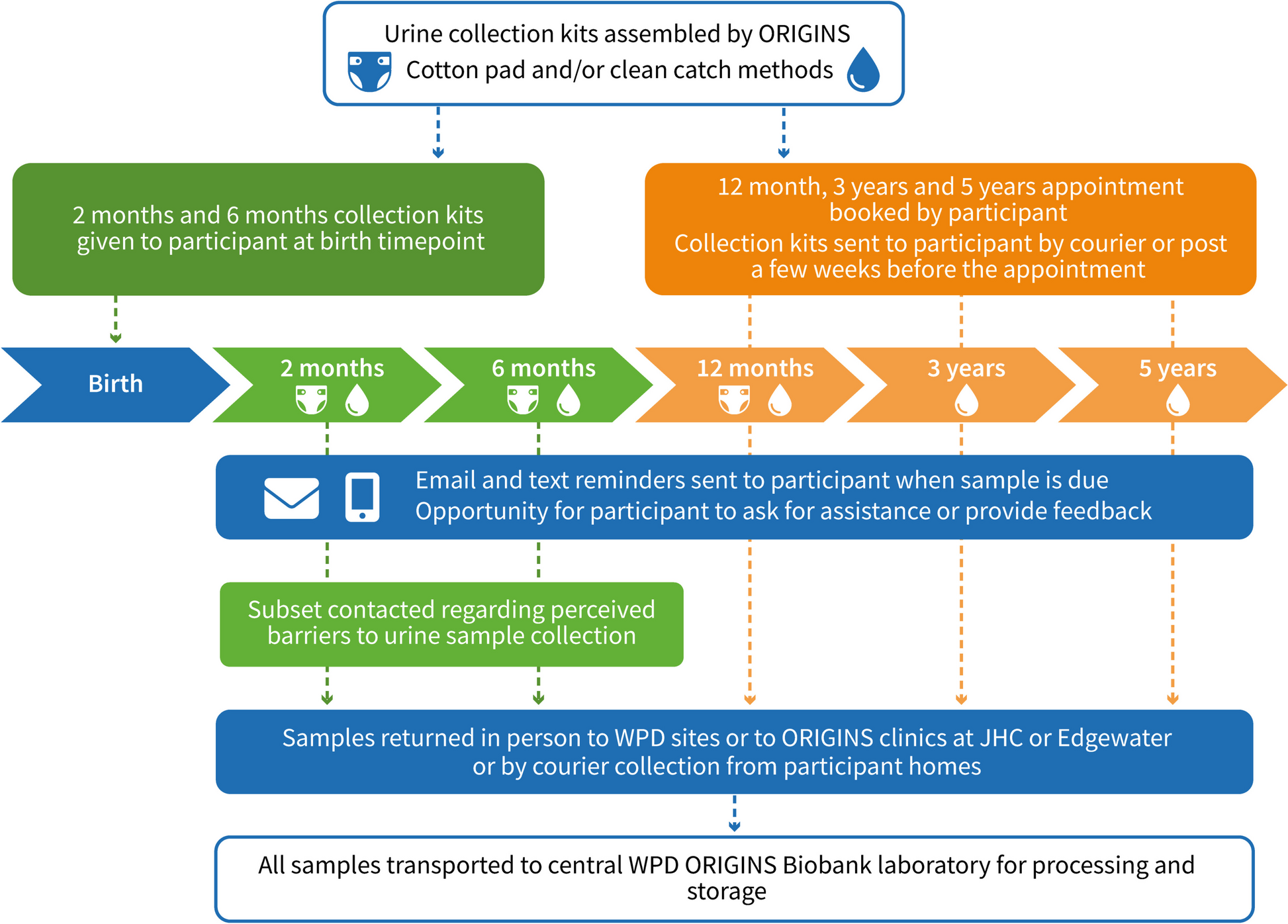 Feasibility of home-based urine collection in children under 5 years in the ORIGINS birth cohort study: mixed method protocol and sample completion results