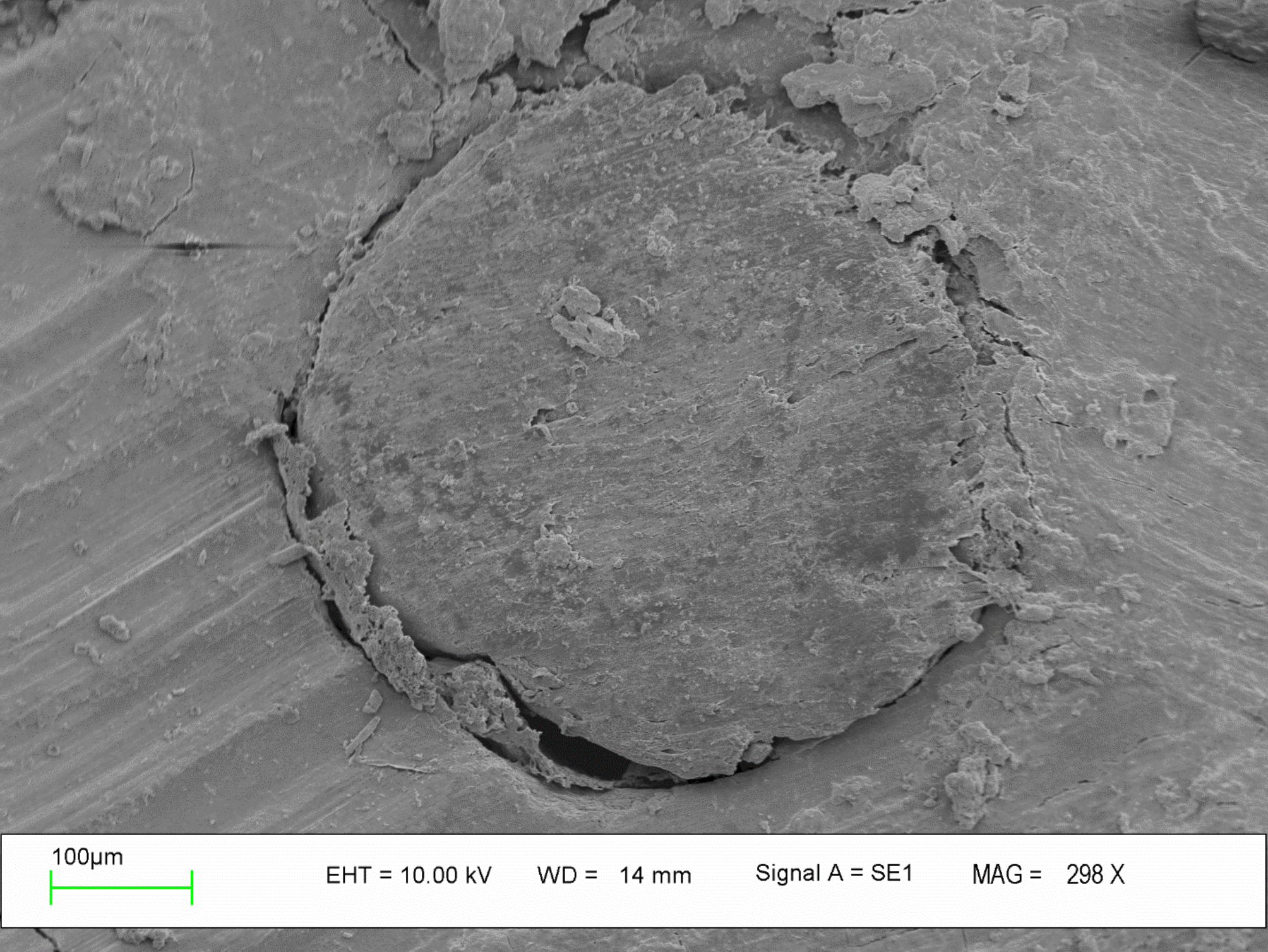 In vitro comparison of the marginal adaptation of cold ceramic sealer with the single-cone obturation technique versus AH-26 sealer with the lateral compaction technique in single-canal teeth