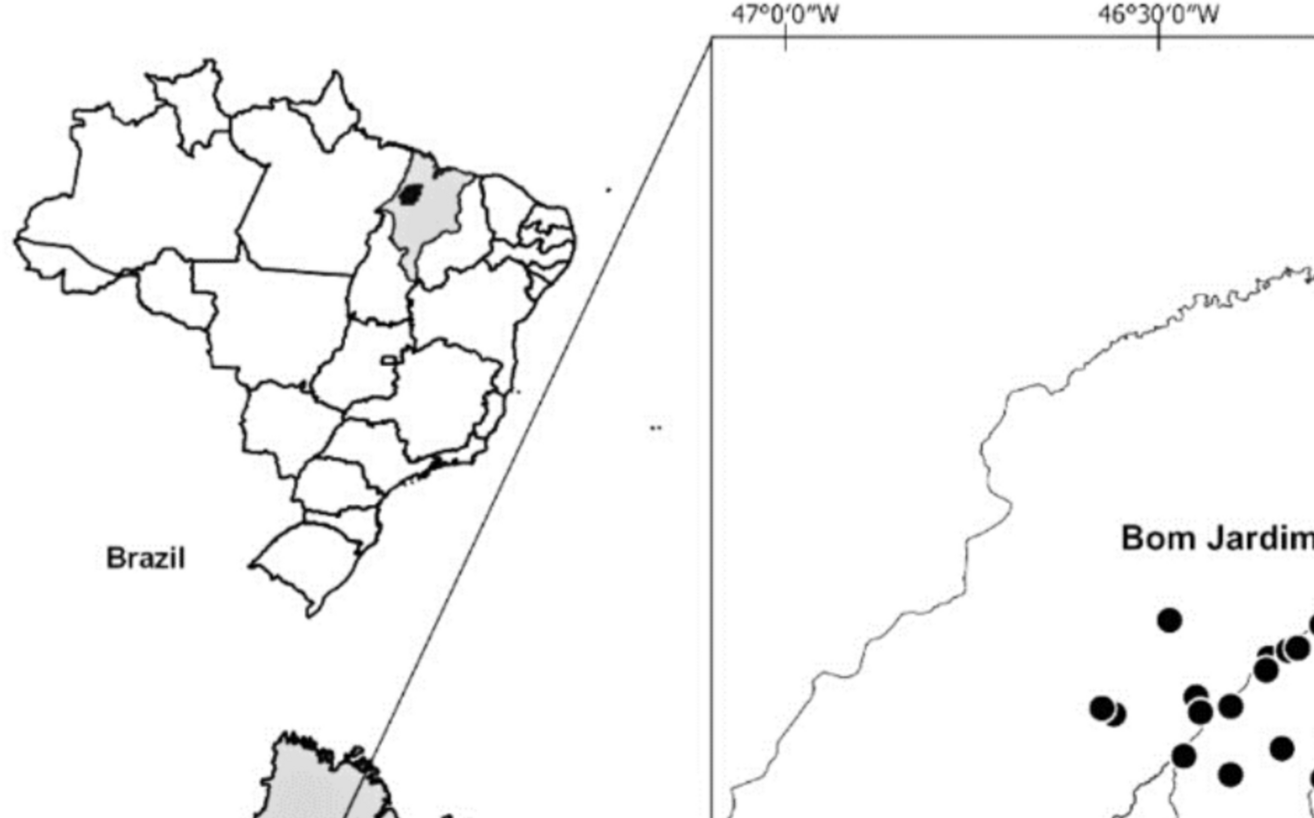 Effects of a Habitat Integrity Gradient on the Diversity of Odonates in the Legal Amazonia Zone of the Brazilian State of Maranhão