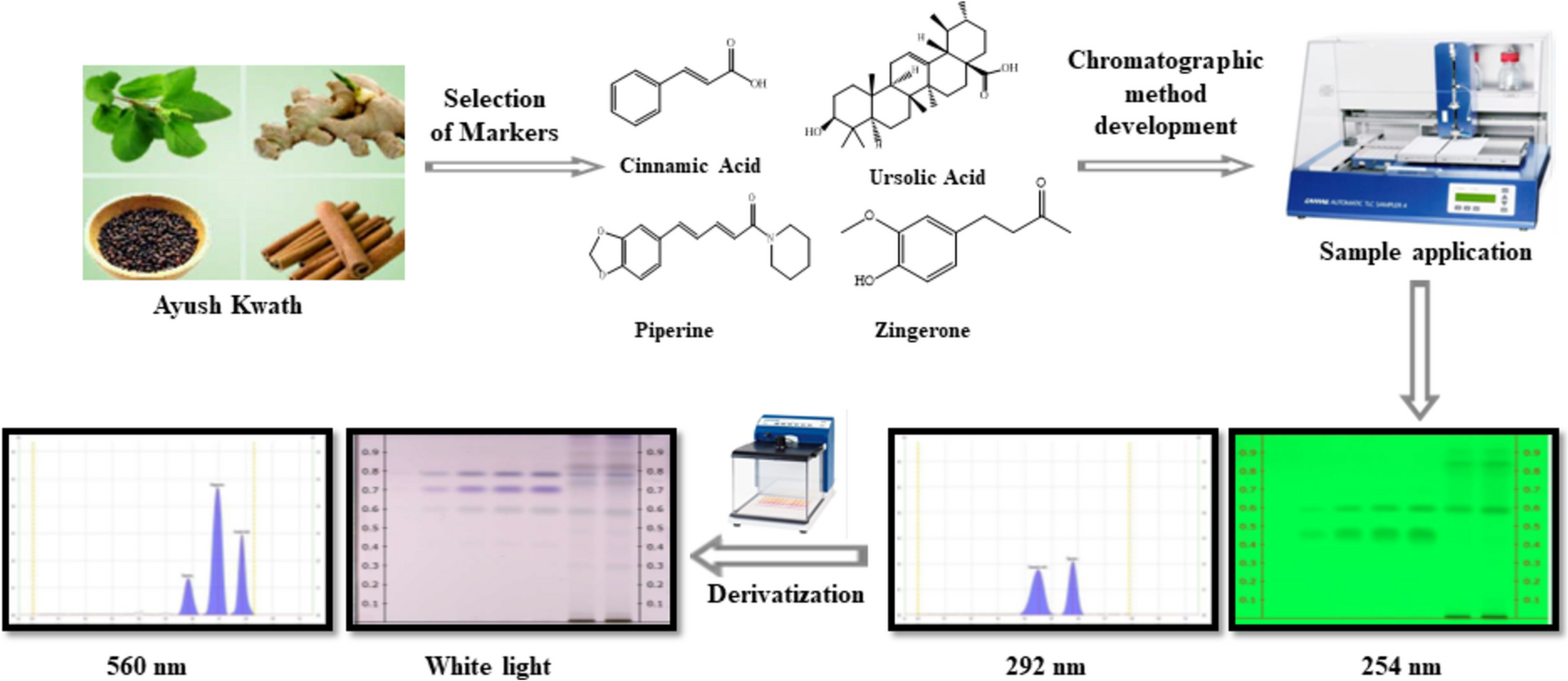 Validation and Quantification of Key Markers in Ayush Kwath, an Ayurvedic Immunity Enhancer Polyherbal Formulation, Through High-Performance Thin-Layer Chromatography