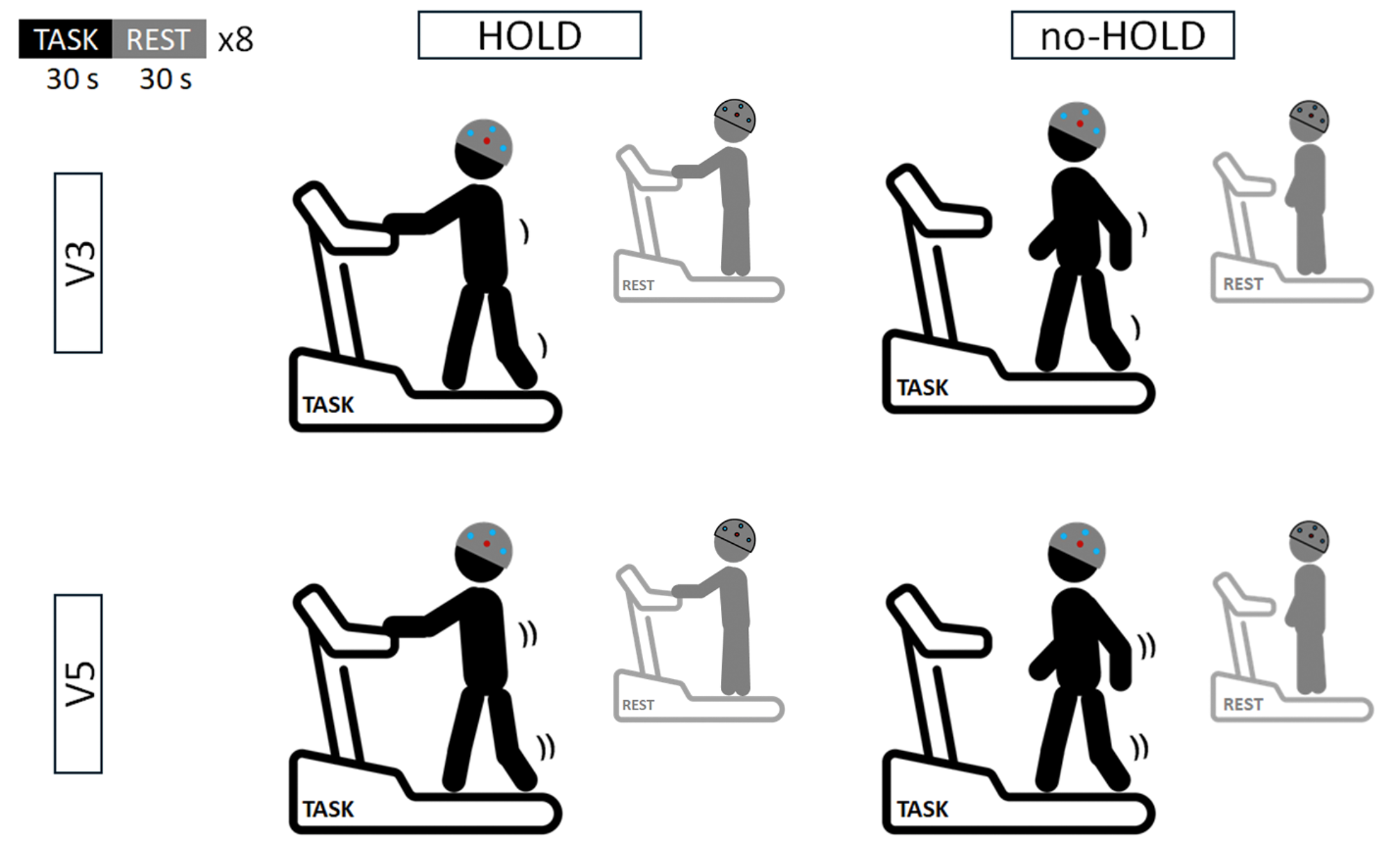 Should you hold onto the treadmill handrails or not? Cortical evidence at different walking speeds