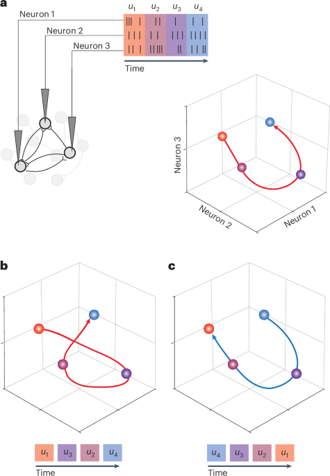 Dynamical constraints on neural population activity