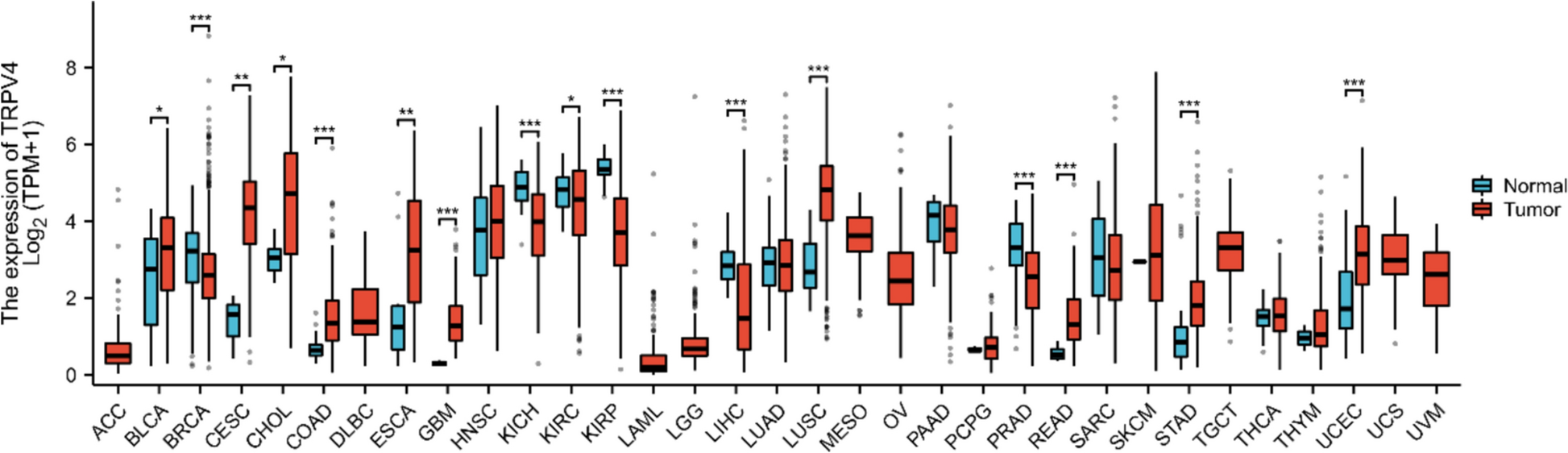 TRPV4 as a Novel Regulator of Ferroptosis in Colon Adenocarcinoma: Implications for Prognosis and Therapeutic Targeting