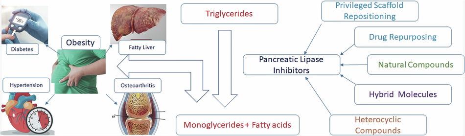 Pancreatic lipase inhibitors as anti-obesity agents: a review of recent chemical scaffolds and their pancreatic lipase inhibitory potential