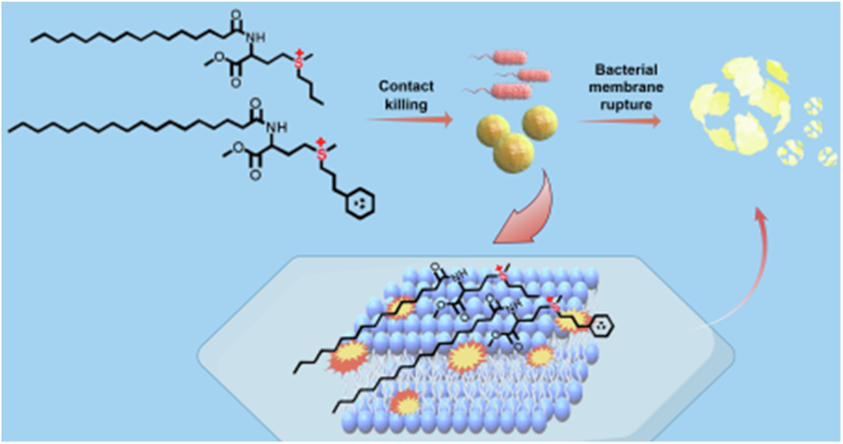 Synthesis and antibacterial activity of environmentally friendly sulfonium compounds