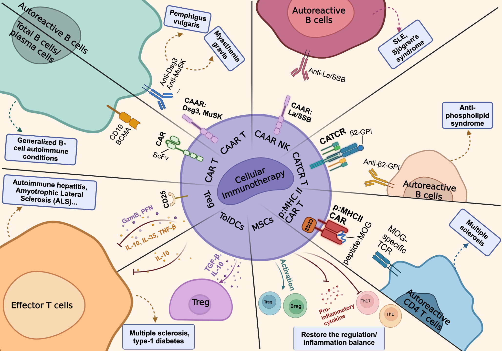 Current advancements in cellular immunotherapy for autoimmune disease