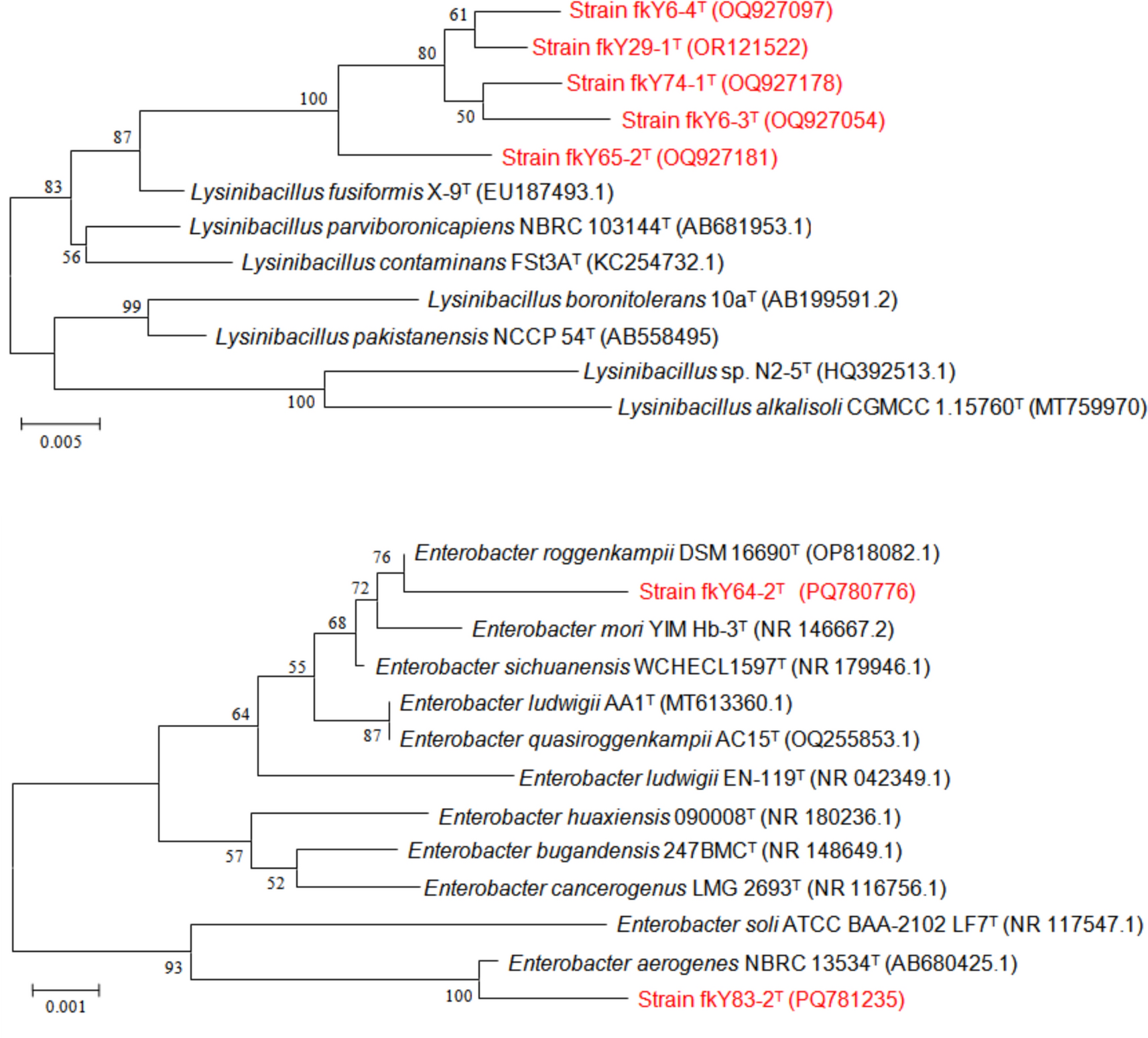 Comparative Analysis of the Probiotic Features of Lysinibacillus and Enterobacter Strains Isolated from Gut Tract of Triploid Cyprinid Fish