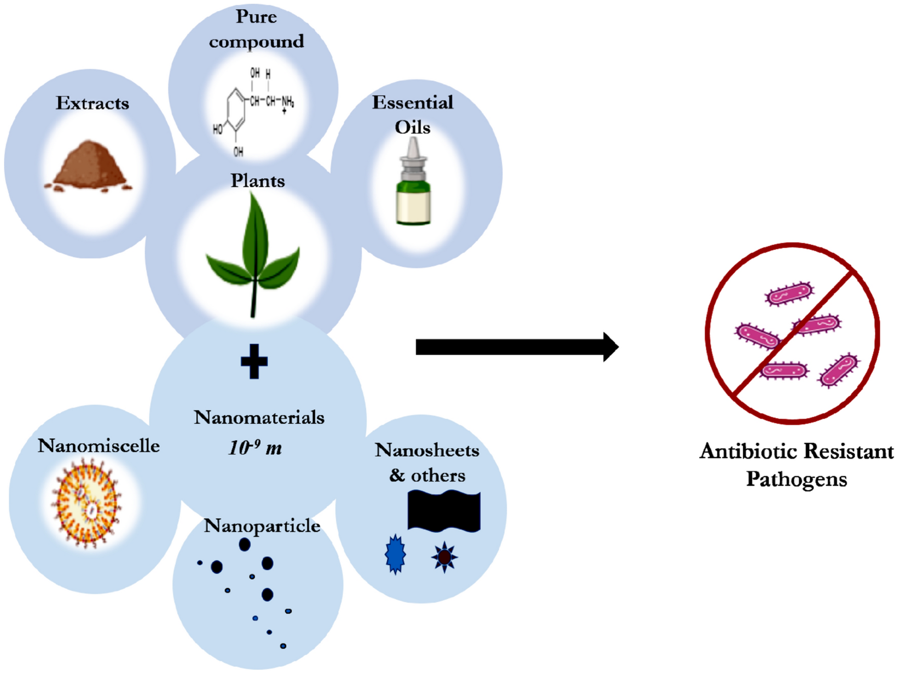 A Comprehensive Review on Exploring the Potential of Phytochemicals and Biogenic Nanoparticles for the Treatment of Antimicrobial-Resistant Pathogenic Bacteria