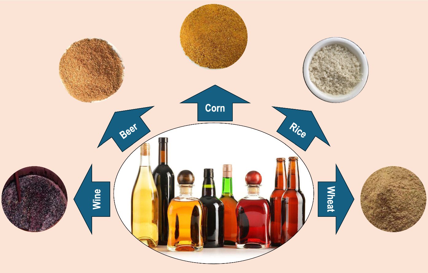 Active ingredients in waste of distillers’ grains and their resource utilization