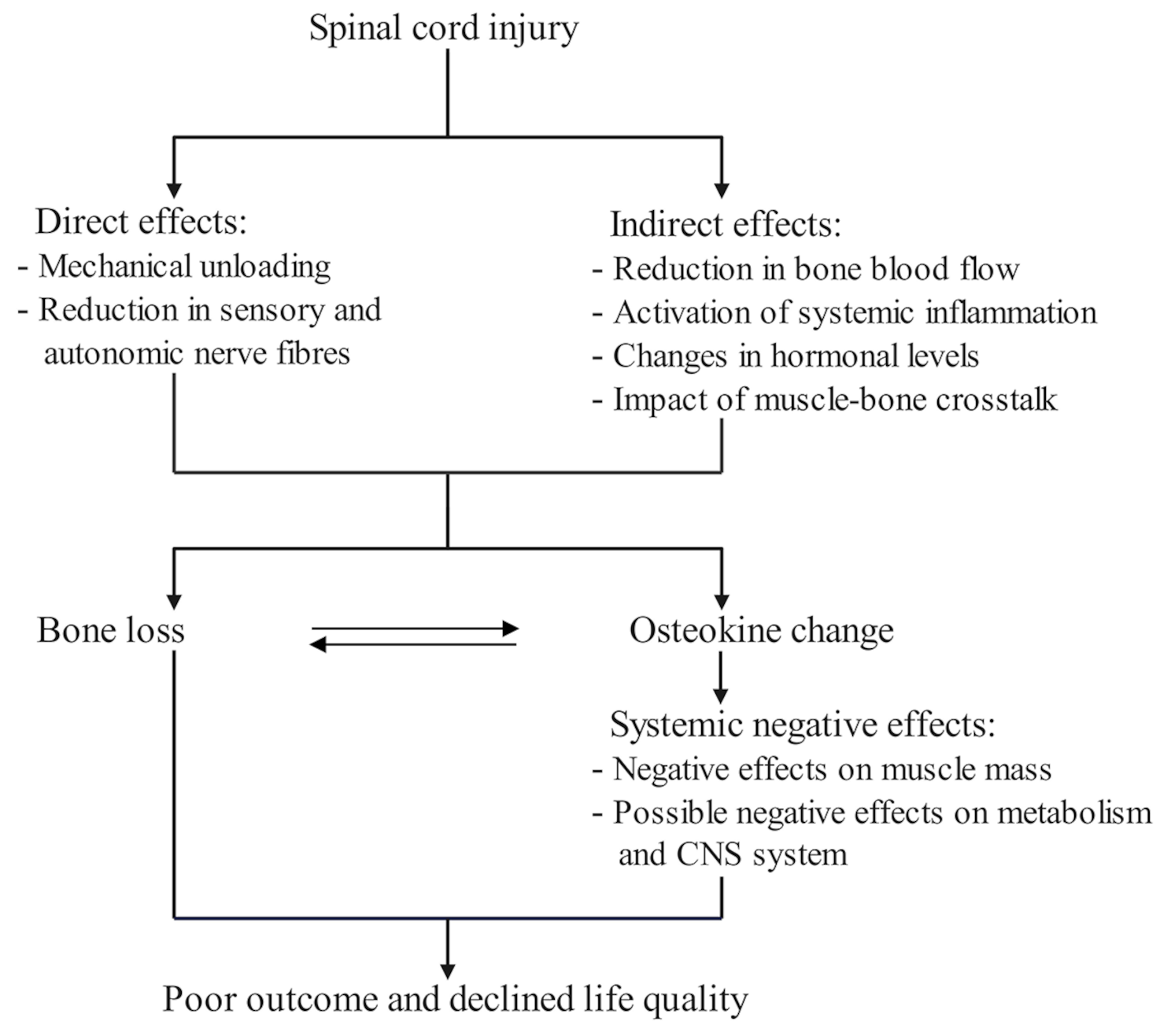 Review of osteokines in spinal cord injury: potential biomarkers during rehabilitation