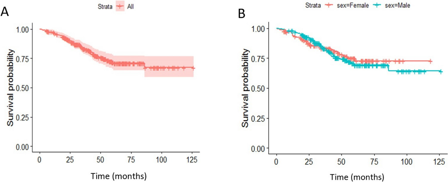 Preoperative Carcinoembryonic Antigen as a Predictor of 5-Year Survival in Rectal Cancer: Proposing a New Prognostic Cutoff